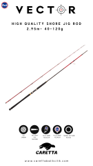 Caretta Vector 2.95 m 40-120 g Shore Jig Rod